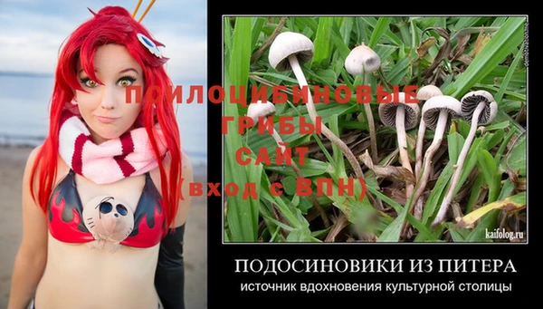 мдпв Белая Холуница