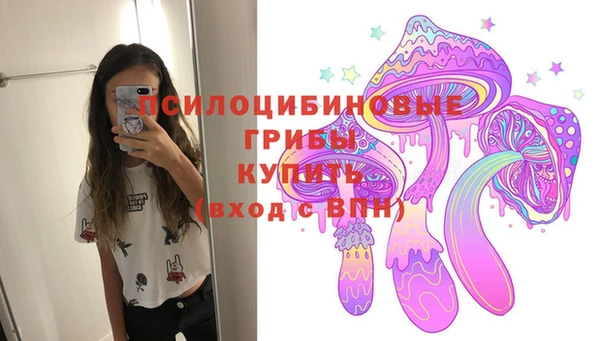 молекула духа Горнозаводск