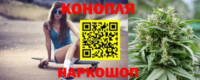 стаф Лесосибирск