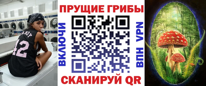 Галлюциногенные грибы Magic Shrooms  купить наркоту  Губкинский 