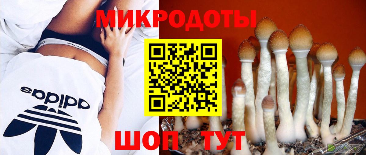 Губкинский  Галлюциногенные грибы MAGIC MUSHROOMS  Вход с VPN 